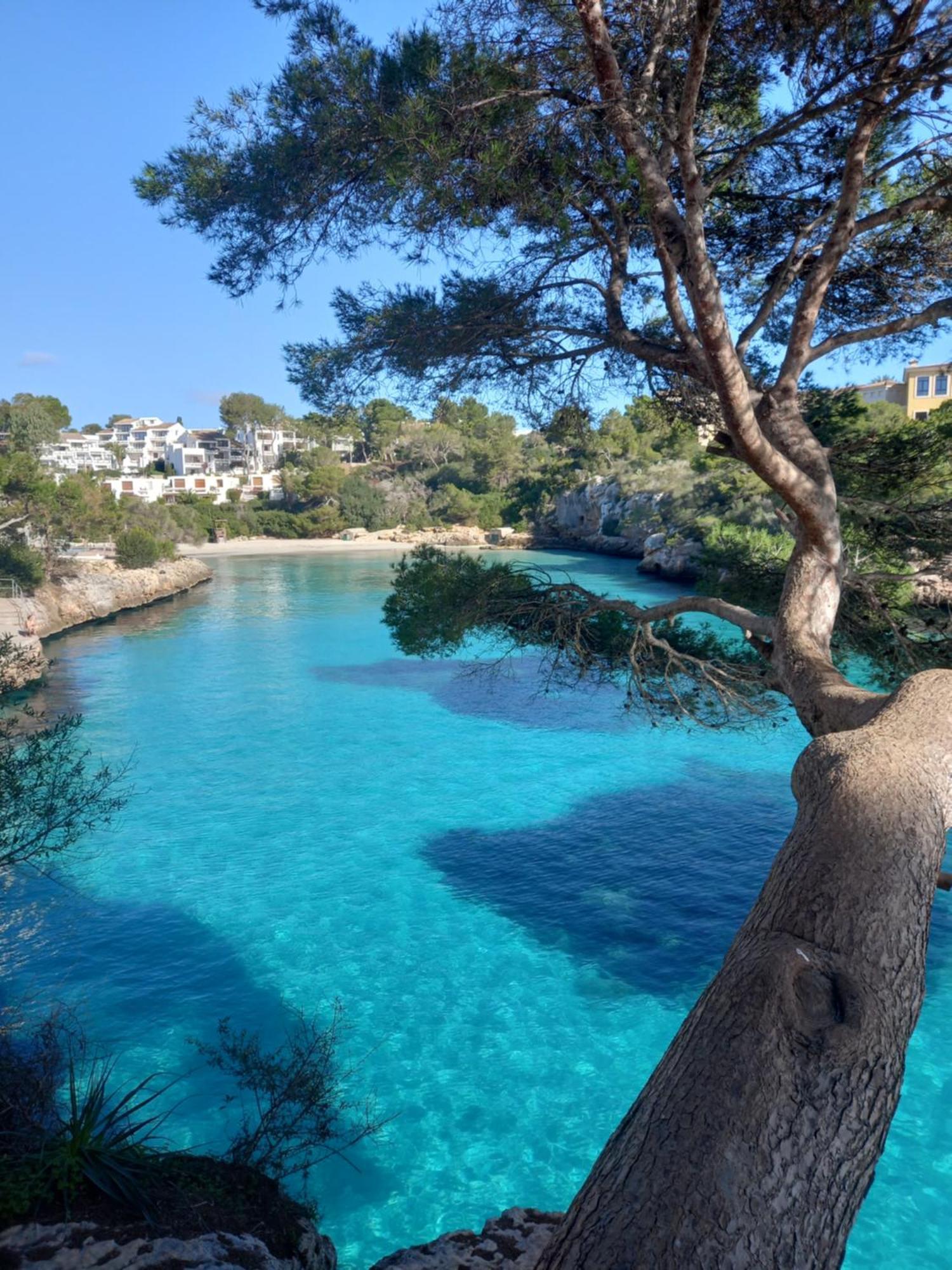 Appartement Ferrera Park Vue Mer Cala Ferrera  Exteriér fotografie